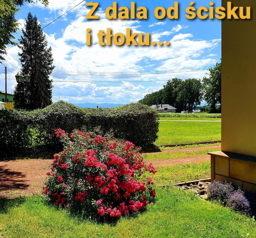 Palac Bazantarnia Pszczyna Exterior foto
